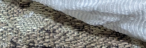 「伝統」、半分の「感銘」と、半分の「モヤモヤ」と