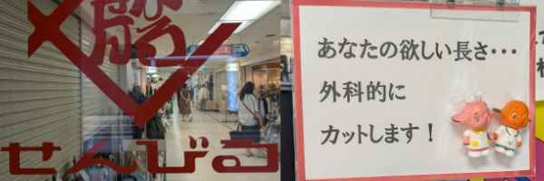 リアルに触れる