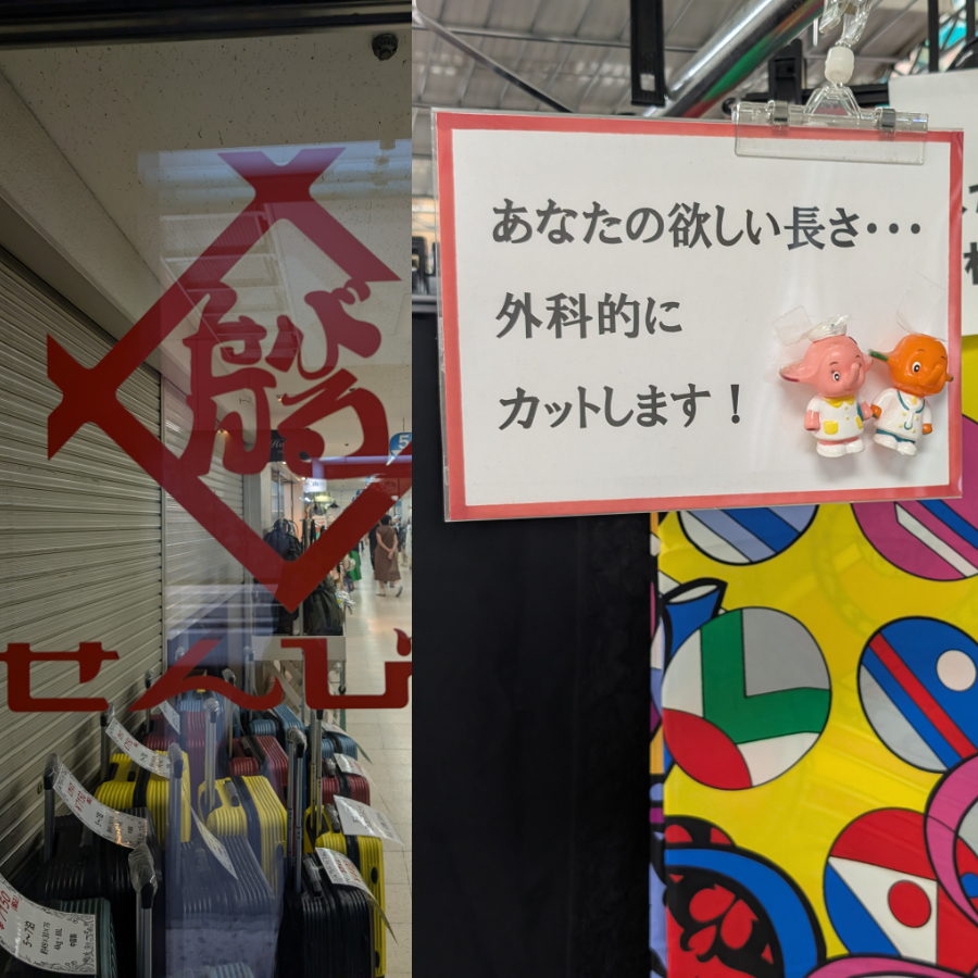 リアルに触れる